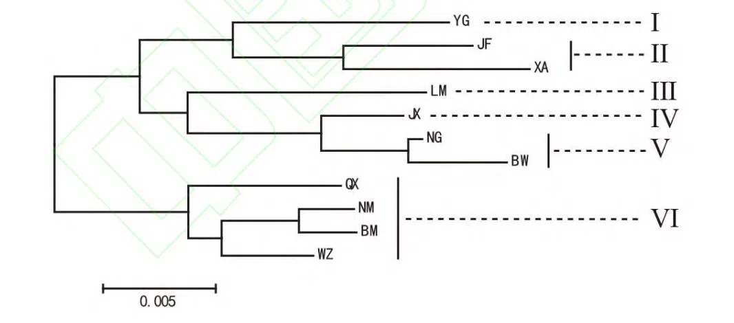 New Research Results from China in 2019 （3）