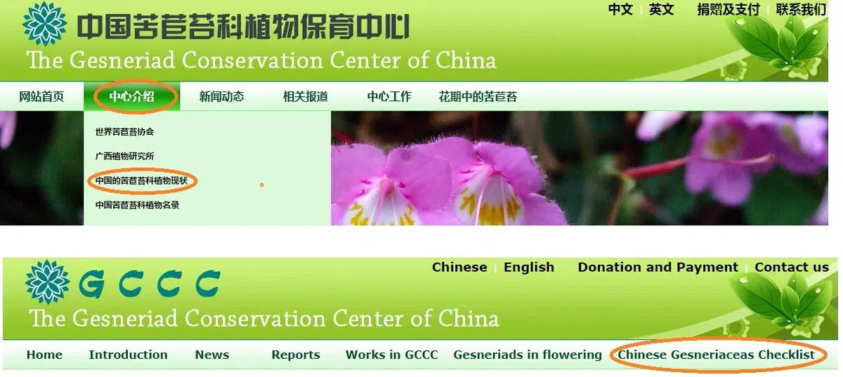 ​​The Checklist of China’s Gesneriaceae Plants is now launched!