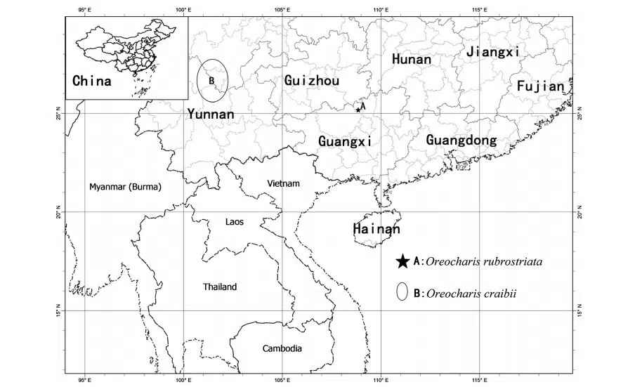 The newest published taxa and newest record of Gesneriaceae from China before 31 December 2019 (13)