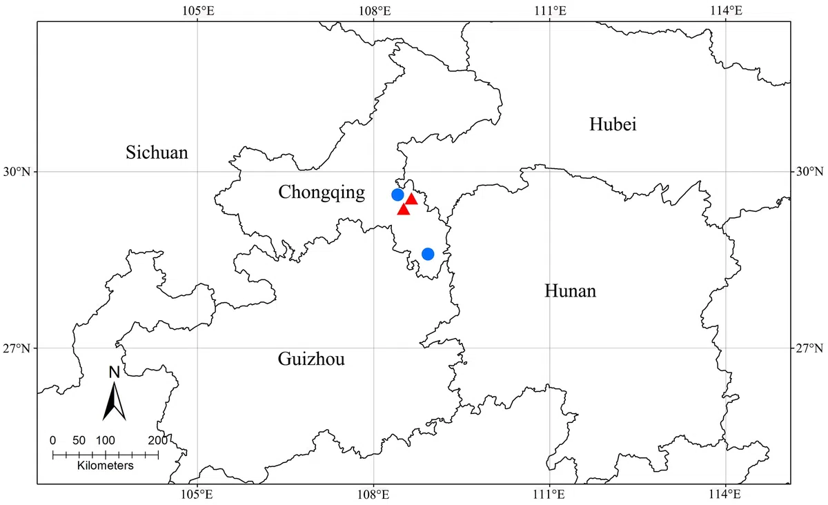 The newest published taxa and newest record of Gesneriaceae from China before 31 December 2019 (14)