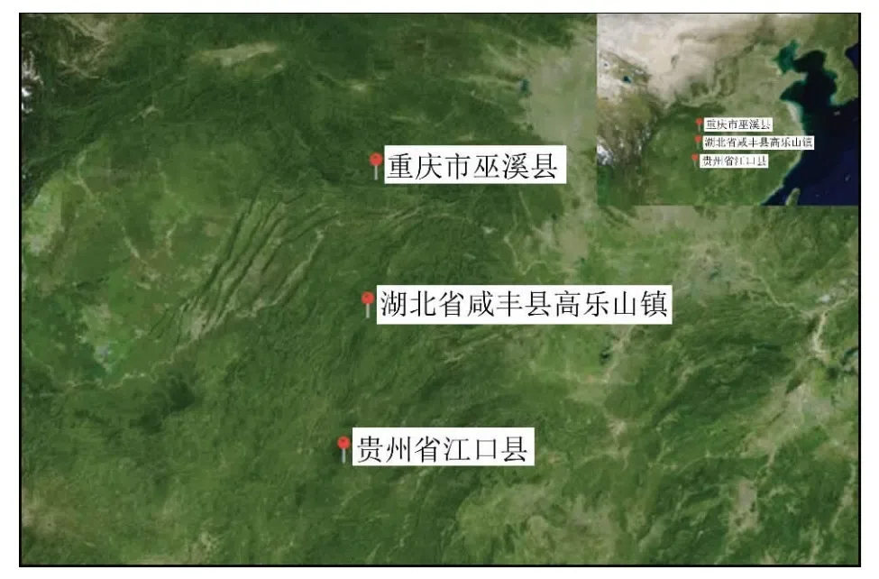 The newest published taxa and newest record of Gesneriaceae from China before 31 December 2019 (8)