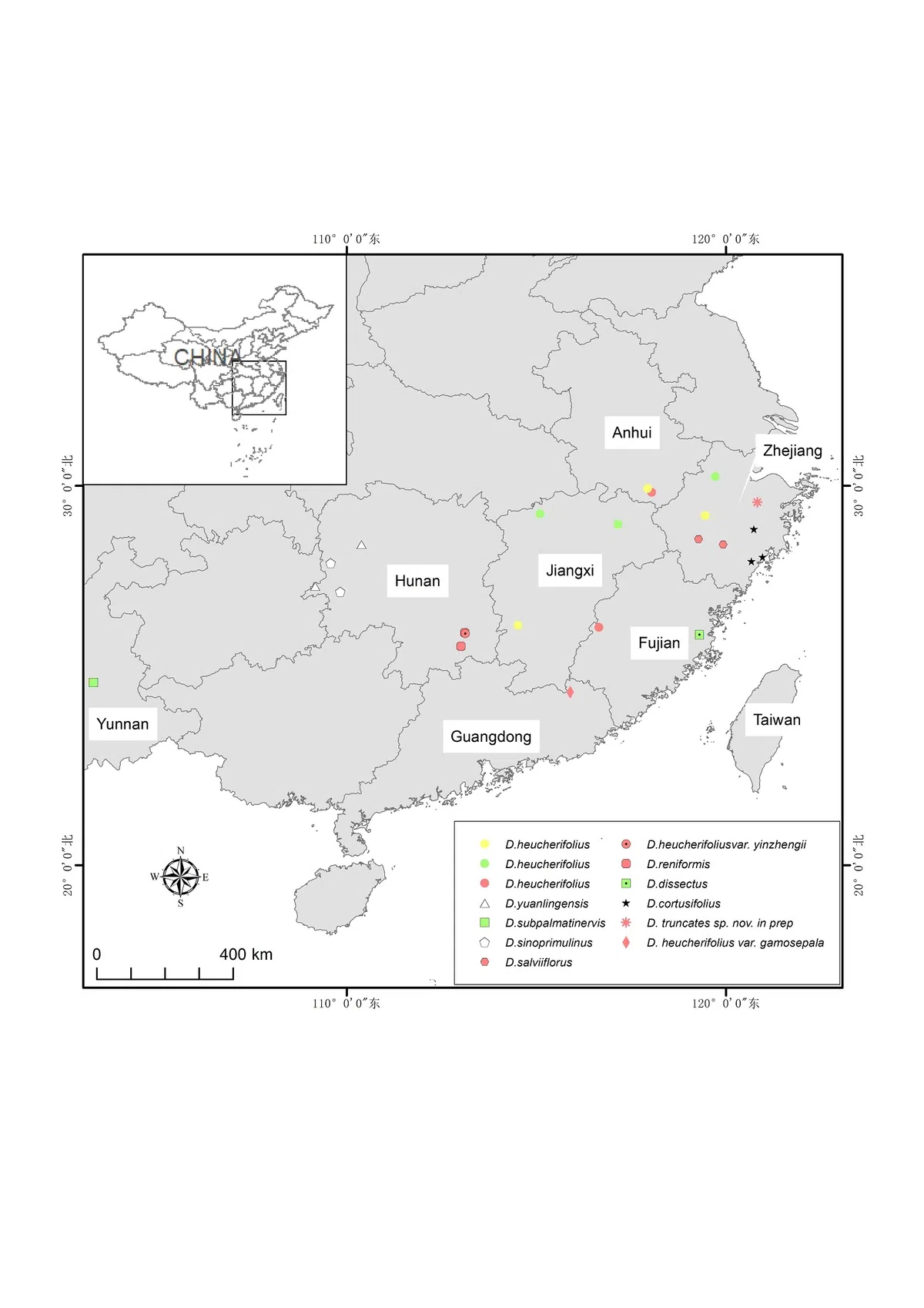 The newest published taxa and newest record of Gesneriaceae from China before 31 December 2019 (19)