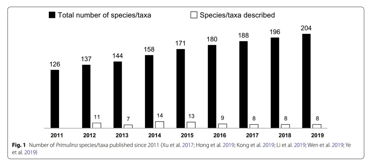 2019年度发表的苦苣苔科植物新种、新分类群和分布新记录（24）