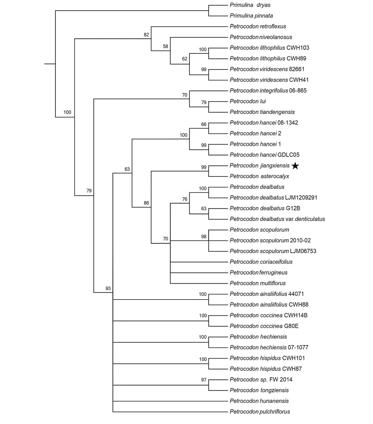 The newest published taxa and newest record of Gesneriaceae from China before 31 December 2019 (21)