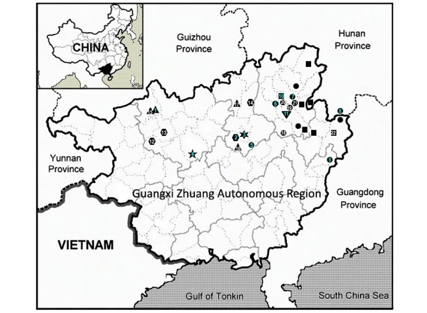 The newest published taxa and newest record of Gesneriaceae from China before 31 December 2019 (24)