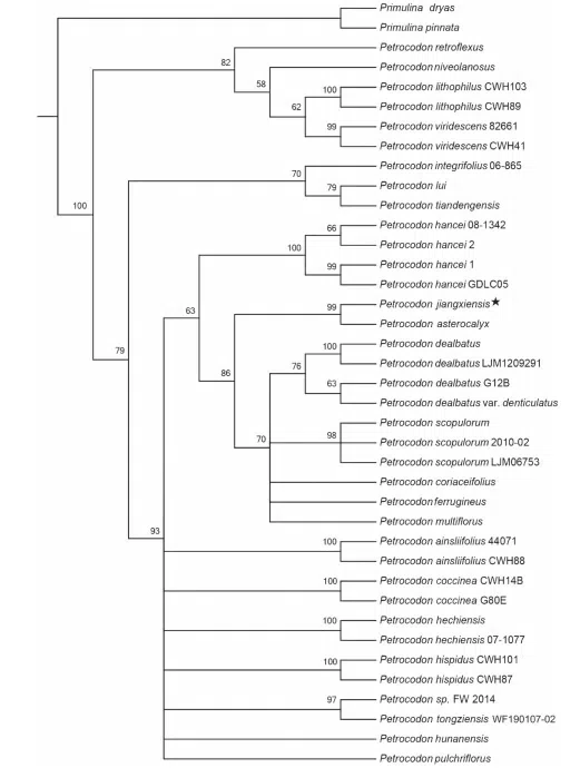 The newest publishedtaxa and newest record of Gesneriaceae from China before 31 December 2019 (30)