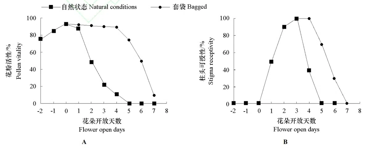 New Research Results from China in 2020（1）