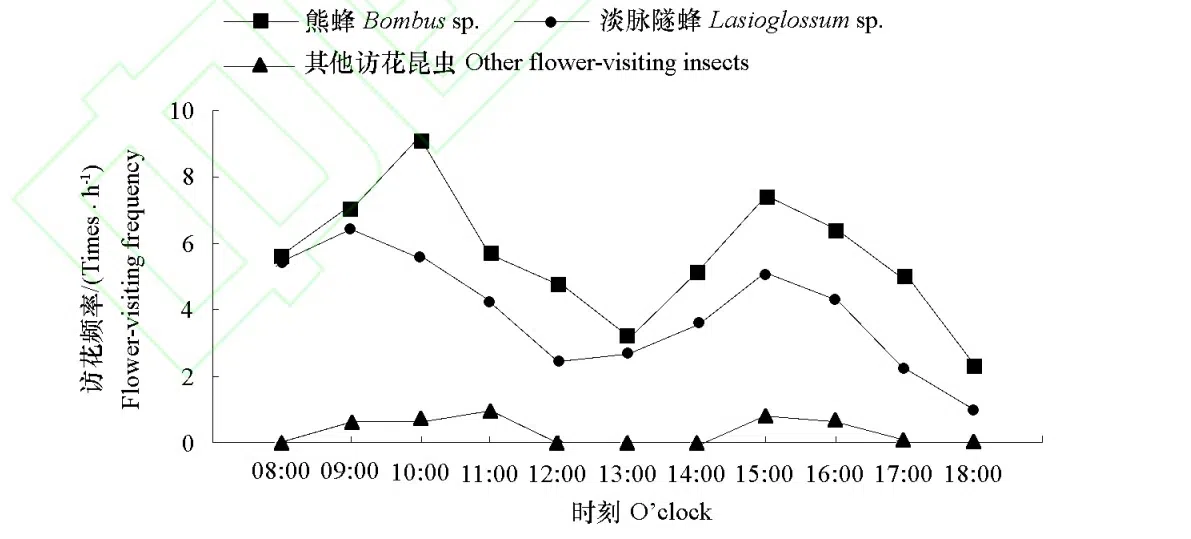 New Research Results from China in 2020（1）