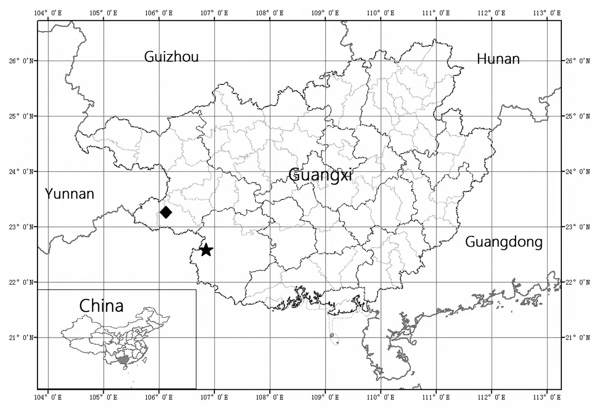 The newest published taxa and newest record of Gesneriaceae from China before 31 December 2020 (9)