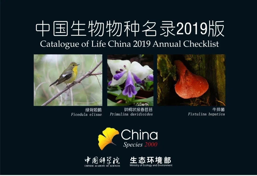 New species published by Gesneriad Conservation Center of China (GCCC): Oreocharis tetrapterus F.Wen, B.Pan & T.V.Do appear on the cover page of 2020 Annual Checklist of CoL-China