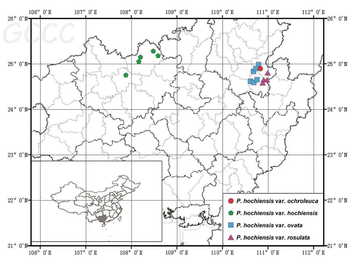 The newest published taxa and newest record of Gesneriaceae from China before 31 December 2020 (14)