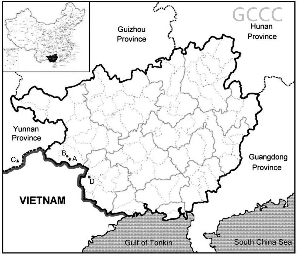 The recently published new taxa and new records of Gesneriaceae from China before 31 December 2021 (08)