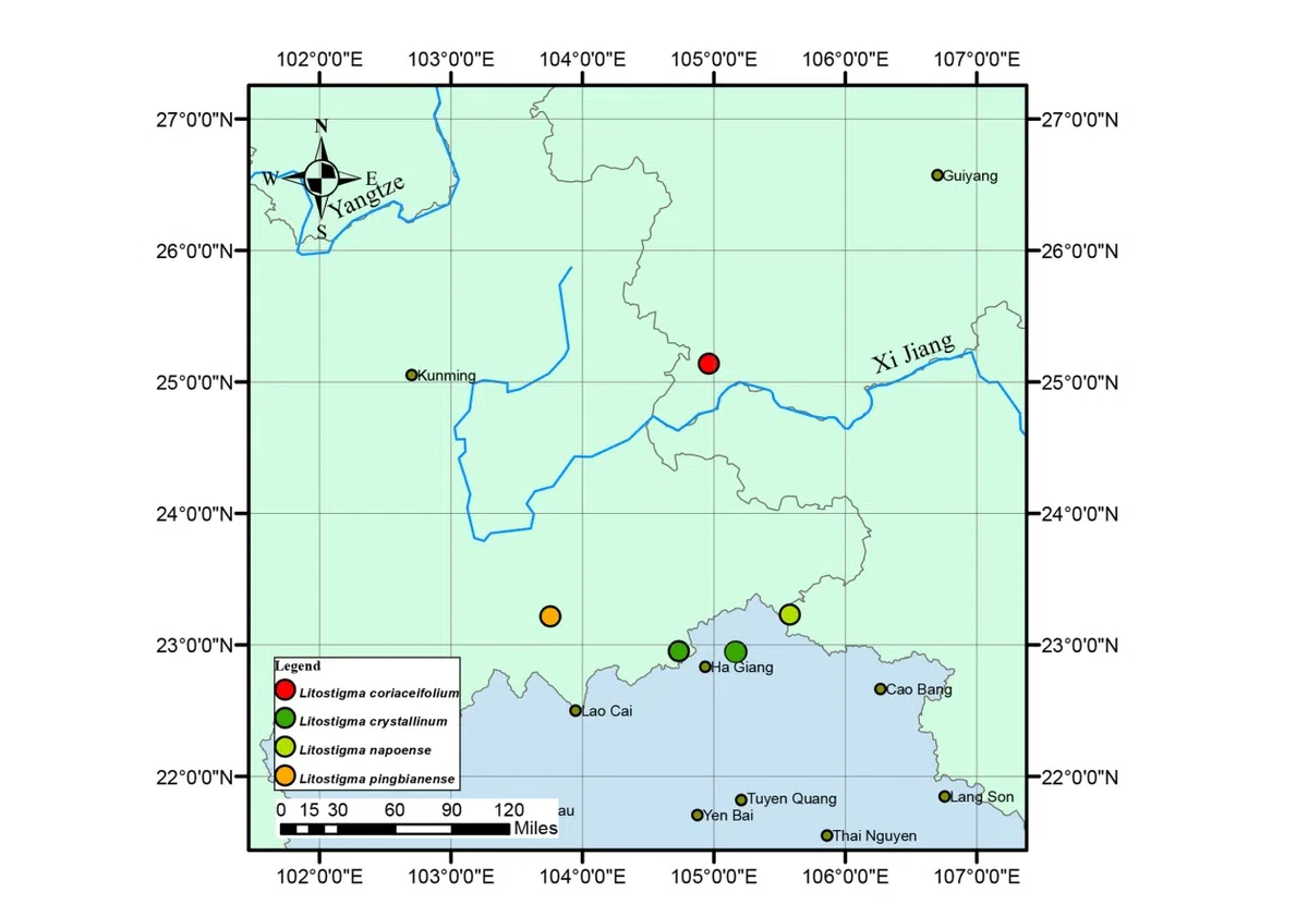 The recently published new taxa and new records of Gesneriaceae from China before 31 December 2021 (09)