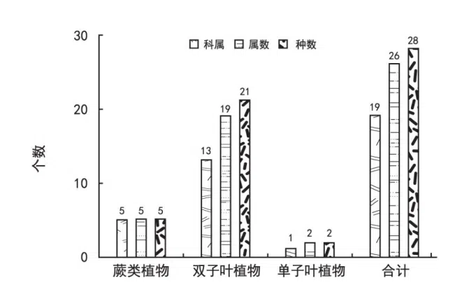 “国内最新科研成果”系列之2021年第四期