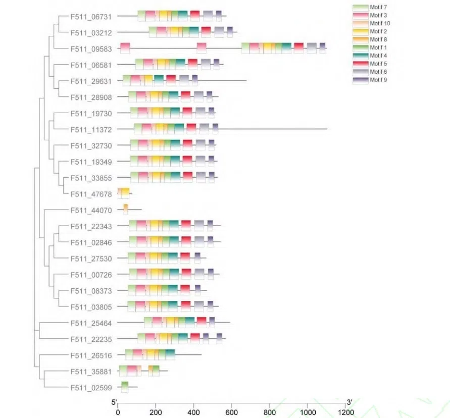 New Research Results from China in 2021（5）