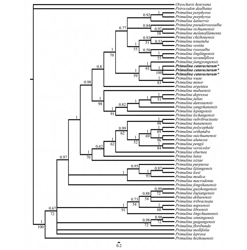 The recently published new taxa and new records of Gesneriaceae from China before 31 December 2021 (15)