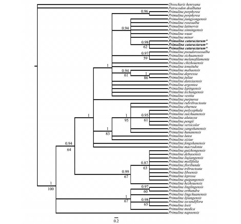 The recently published new taxa and new records of Gesneriaceae from China before 31 December 2021 (15)