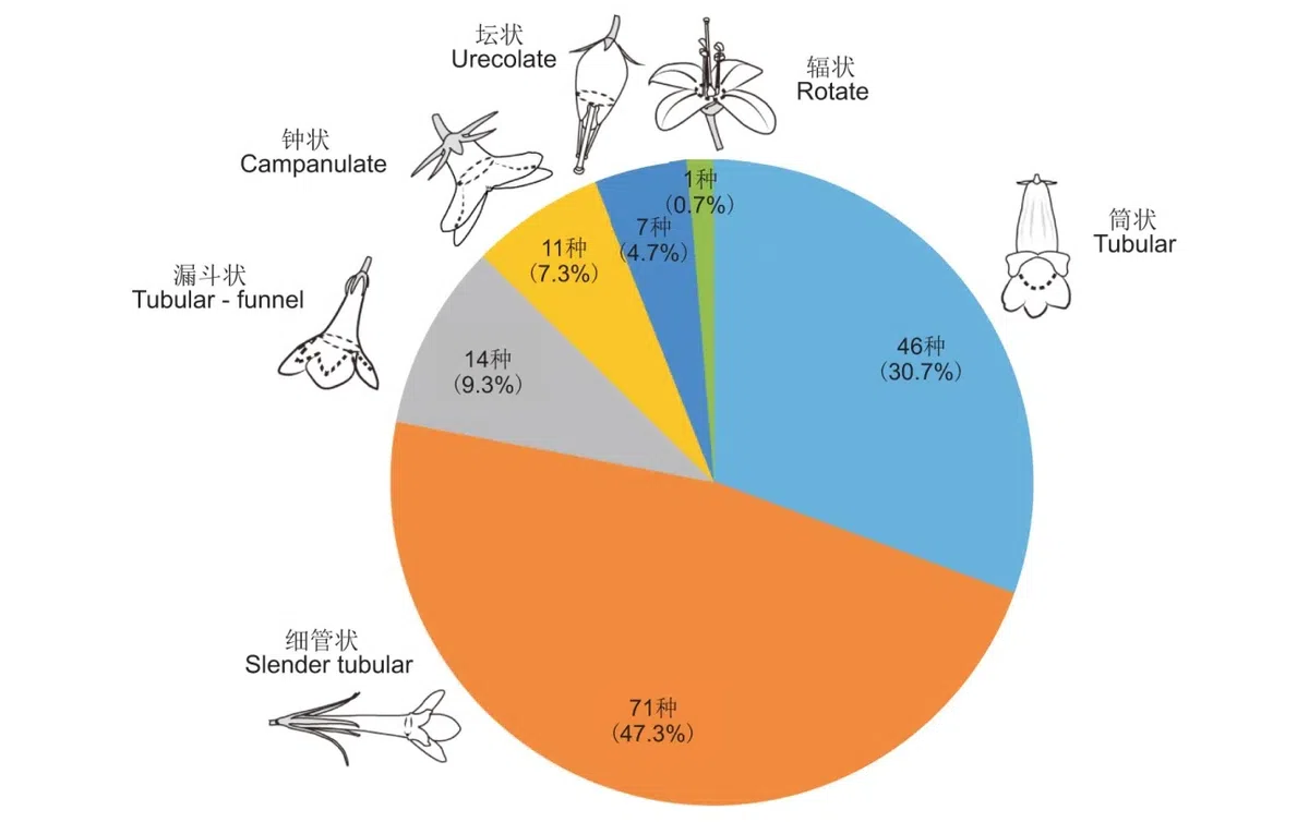 New Research Results from China in 2021（6）