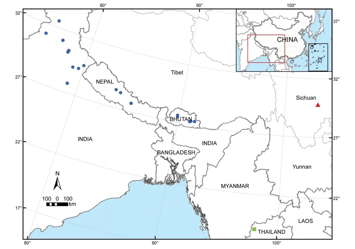 The recently published new taxa and new records of Gesneriaceae from China before 31 December 2021 (17)